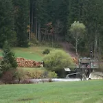 アパート Steinhaeusle Vöhrenbach
