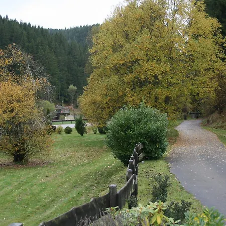 Steinhaeusle Daire Vöhrenbach