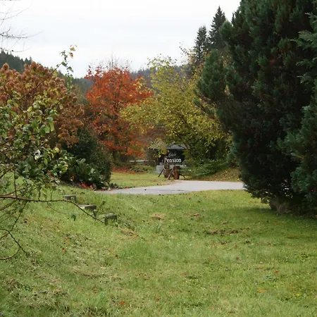 Steinhaeusle Appartamento *